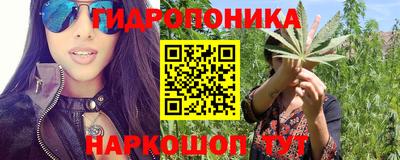 ГАЛЛЮЦИНОГЕННЫЕ ГРИБЫ Кимры