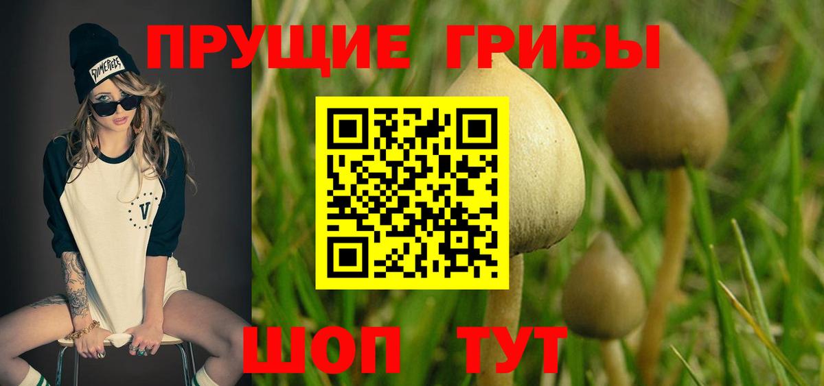 Галлюциногенные грибы мицелий Кизляр